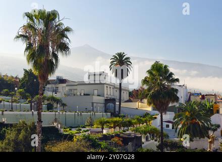 Vue du Liceo de Taoro aux Jardines de la Victoria, la Orotava, Tenerife, Îles Canaries, Espagne, Europe Banque D'Images