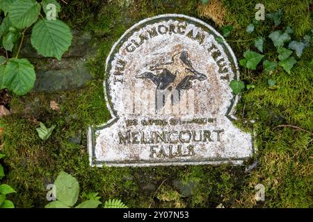 Réserve naturelle des chutes de Melincwrt / Mekincourt, Resolven, Neath, Port Talbot Banque D'Images