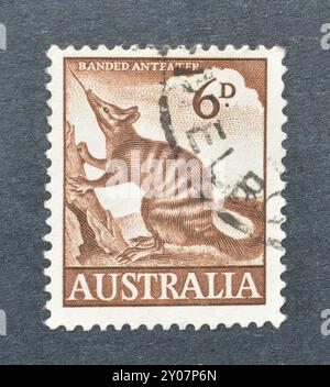 Timbre-poste oblitéré imprimé par l'Australie, qui montre Numbat (Myrmecobius fasciatus), vers 1960. Banque D'Images