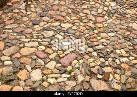 Pavés dans une ruelle historique sur le Muenzenberg à Quedlinburg Banque D'Images