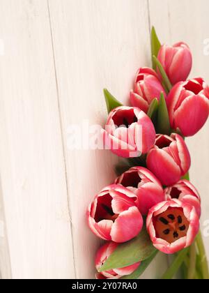 Beau bouquet de tulipes sur un fond de bois rustique grange blanche Banque D'Images