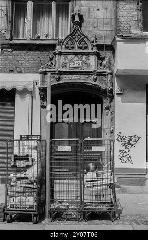 Allemagne, Berlin, 26 juin 1991, entrée de maison, porte, Tucholskystrasse 31-33, poubelle, Europe Banque D'Images