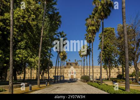 Bâtiment du Parlement andalou, (Parlamento de Andalucia) situé dans le jardin de palmiers à Séville, Espagne, Europe Banque D'Images