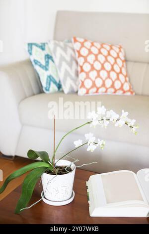 Belle orchidée blanche et livre ouvert sur la table en bois. Cette chambre confortable à l'intérieur Banque D'Images