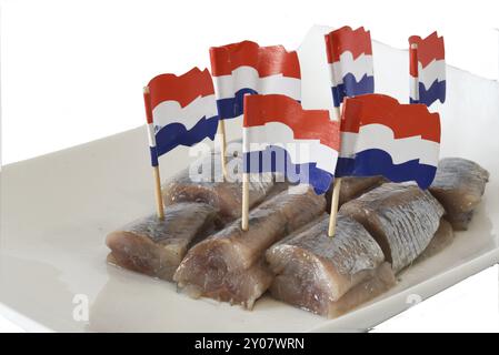 Den Helder, pays-Bas. Juin 2022. Hareng cru frais sur une assiette blanche. Isolé. mise au point sélective Banque D'Images