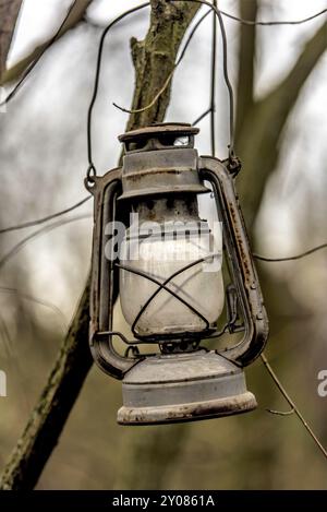 Vieille lampe à paraffine rouillée suspendue à une branche dans un buisson Banque D'Images