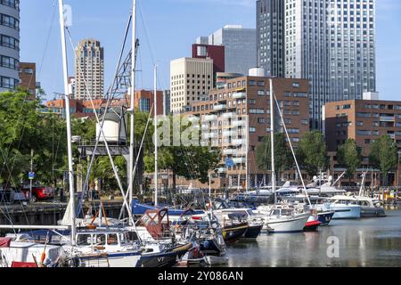 Rotterdam Marina, derrière des immeubles résidentiels de grande hauteur à Spoorweghaven, port de plaisance, bateaux à voile, yachts à moteur, dans le port intérieur, Banque D'Images