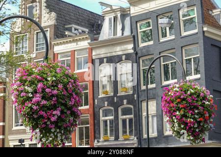 Grands pots de fleurs suspendus avec des fleurs colorées devant une rangée de bâtiments historiques, Amsterdam, pays-Bas Banque D'Images