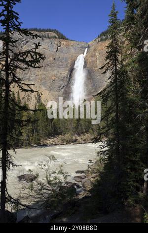 Parc national Takakkaw Falls im Yoho, en Colombie-Britannique Banque D'Images