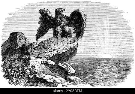 Symbole de la devise du Hohenzollern, du rocher à la mer, aigle avec ailes déployées, horizon, mer, coucher de soleil, Prusse, Brandebourg, historique il Banque D'Images