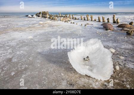 Hiver sur la côte de la mer Baltique Banque D'Images