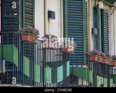 Balcon urbain avec volets verts, décoré de fleurs dans des boîtes à fleurs sur une balustrade en métal noir, palerme, sicile, mer méditerranée, italie Banque D'Images