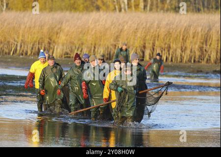 Les pêcheurs pêchant au filet pêchent un étang en haute-Lusace Banque D'Images