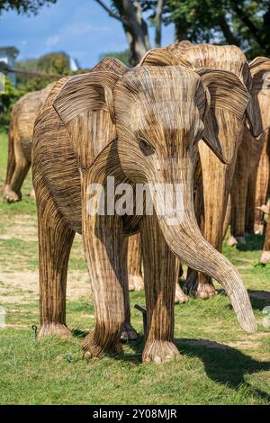 La migration des grands éléphants Banque D'Images