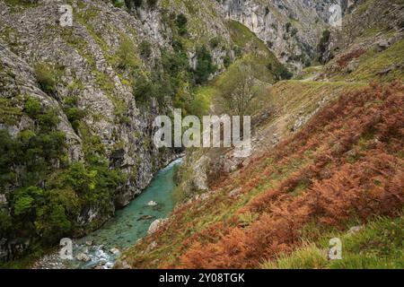 Ruta del Cares sentier paysage naturel dans le parc national Picos de Europa, Espagne, Europe Banque D'Images