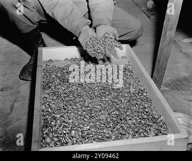 Un soldat plonge ses mains dans quelques-uns des milliers d'alliances que les Allemands ont arrachées à leurs victimes. Les troupes de la première armée américaine ont trouvé ces bagues, avec des montres, des pierres précieuses, des lunettes et des obturations dentaires en or, dans une grotte adjacente au camp de concentration de Buchenwald Banque D'Images