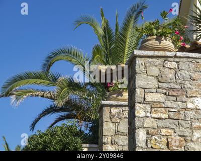 Mur de pierre méditerranéen avec des palmiers et des plantes à fleurs sous un ciel bleu vif, katakolon, mer méditerranée, grèce Banque D'Images