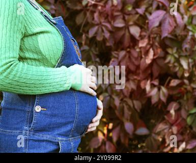 Happy pregnant woman dans la forêt d'automne. Close up on belly Banque D'Images