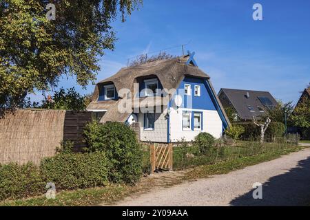 Maisons sur le Fischland-Darss à Ahrenshoop Banque D'Images