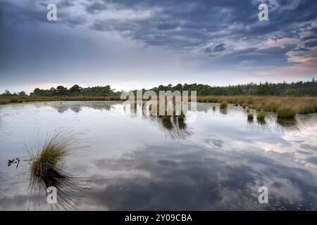 Coucher de soleil orageux nuageux sur la tourbière, Fochteloerveen, pays-Bas Banque D'Images