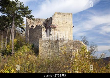 Les ruines du château de Lobdeburg près d'Iéna en Thuringe, ruine du château de Lobdeburg, bâtiment historique à l'automne, Allemagne, Europe Banque D'Images