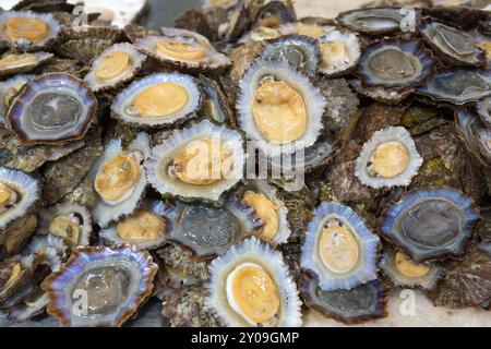 Coupez des moules dans un marché aux poissons Banque D'Images