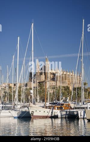 Catedral de Palma desde Moll de la Riba, Palma, mallorca, Islas baleares, espana, europa Banque D'Images