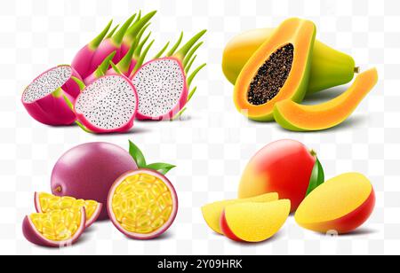 Ensemble de fruits tropicaux mûrs exotiques mangue, papaye, fruit de la passion et fruit du dragon ou pitaya, isolé sur fond transparent. Entier et tranches de ju Illustration de Vecteur