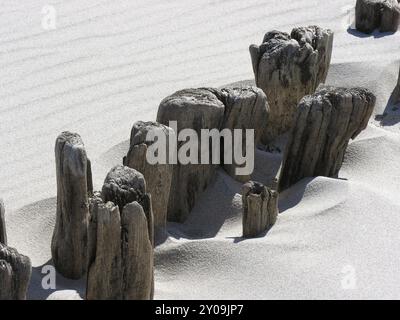 Stabilisation de plage Banque D'Images