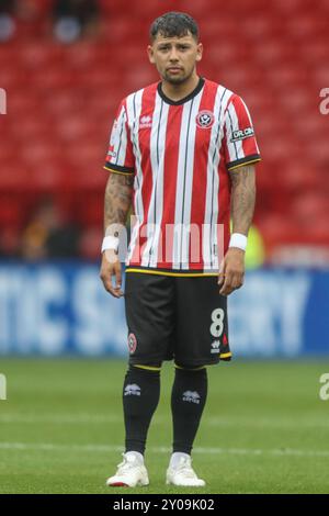 Sheffield, Royaume-Uni. 01 Sep, 2024. Gustavo Hamer de Sheffield United lors du match du Sky Bet Championship Sheffield United vs Watford à Bramall Lane, Sheffield, Royaume-Uni, le 1er septembre 2024 (photo par Alfie Cosgrove/News images) à Sheffield, Royaume-Uni le 9/01/2024. (Photo par Alfie Cosgrove/News images/SIPA USA) crédit : SIPA USA/Alamy Live News Banque D'Images