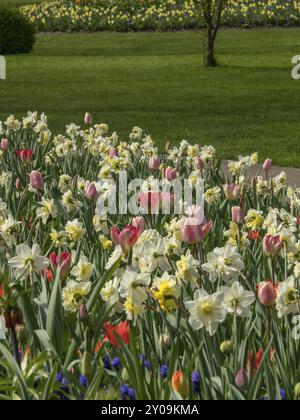 Parterre de fleurs coloré de tulipes et jonquilles sur une prairie verte, Amsterdam, pays-Bas Banque D'Images