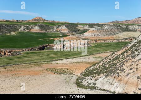 Champs verts et collines sèches sous un ciel bleu Azur dans un vaste paysage, Parc naturel de Bardenas Reales, Bardena Negra, désert, semi-désert, Navarre, NAF Banque D'Images