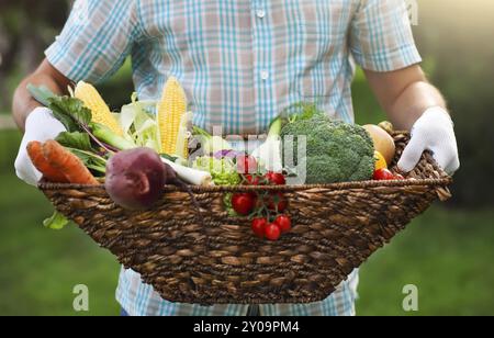 Panier rempli de légumes frais dans les mains d'un homme portant des gants Banque D'Images