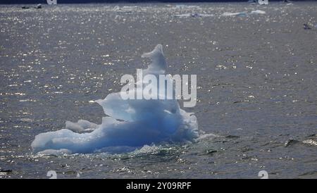 Dérive de glace dans le parc marin d'État de Shoup Bay en Alaska Banque D'Images
