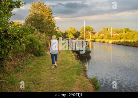 Femme marchant sur le chemin des orteils à côté du canal et des bateaux de canal sur la chaude soirée d'été, Royaume-Uni Banque D'Images