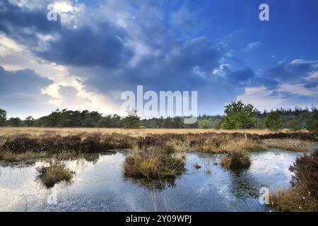 Ciel bleu après tempête reflété dans l'eau des marais Banque D'Images