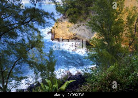 Le Cap Jaune à Saint Joseph, de l'île de la réunion Banque D'Images