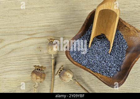 Petit bol en bois rempli de graines de pavot noir et de têtes de graines de pavot séchées sur une table en bois rustique Banque D'Images