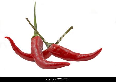 3 piment rouge sur fond blanc Banque D'Images