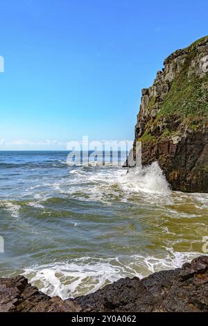 Falaise en pierre couverte de mousse et de végétation sur la mer et des vagues Banque D'Images