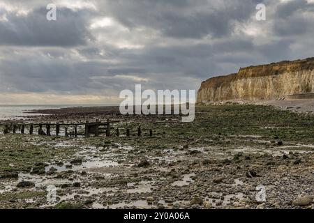 Pierres, plage et falaises Cuckmere Haven près de Seaford, East Sussex, UK Banque D'Images