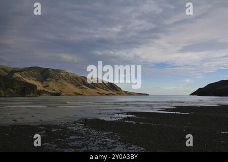 Paysage en Nouvelle-Zélande. Scène matinale à Pigeon Bay, péninsule de Banks Banque D'Images