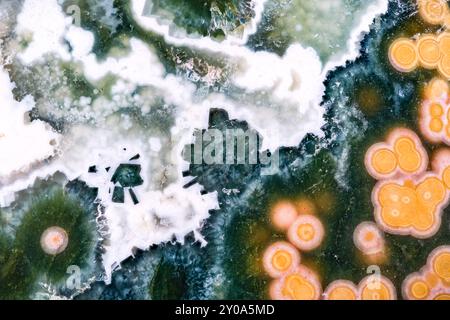 jaspe océanique poli. texture détaillée de la photographie macro. gros plan pierre précieuse en cristal minéral poli. Banque D'Images