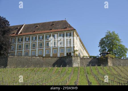 Château de Stainz avec vignoble (Schilcher) Styrie, Autriche, Europe Banque D'Images