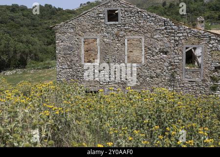 Maison délabrée dans le vieux village de montagne de Perithia sur Corfou, Grèce, Europe Banque D'Images