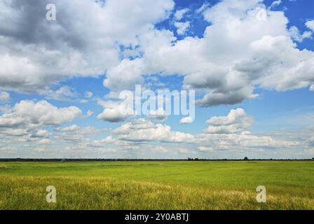 Au printemps des Prairies dans le Burgenland Banque D'Images