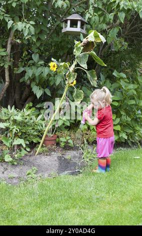 Petite fille blonde habillée en rouge et rose arrosant un tournesol avec un minuscule petit arrosage peut mignonne petite fille habillée en rose avec une paire colorée Banque D'Images