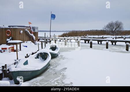 Hiver sur le Bodden près de Dierhagen Banque D'Images