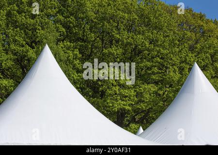 Toits pointus de tentes de fête devant une forêt Banque D'Images