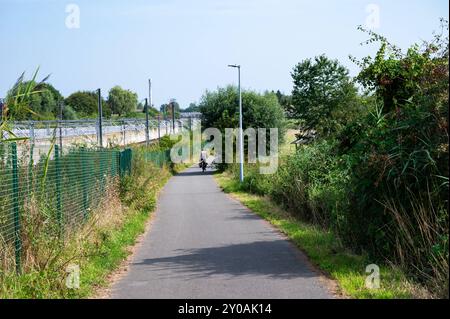 Ternat, Brabant flamand, Belgique, 31 août 2024 - cycliste sur la route cyclable asphaltée F209 Banque D'Images